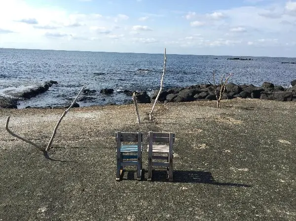 버거 주문을 시키고 기다리면서 스냅사진 찍어도 좋아요