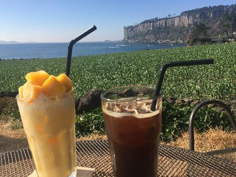 #박수기정 #올레8길