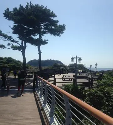 #서귀포 #제주여행 #제주 #세연교 #고등어가 펄떡