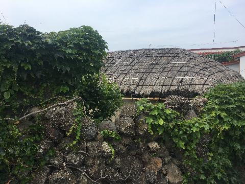 null 리뷰사진4