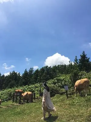 #백약이오름 #제주도 #여름 #여행 #힐링 #인생사진 #행복 #제주도는역시사랑