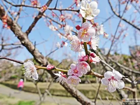 걸매생태공원 사진