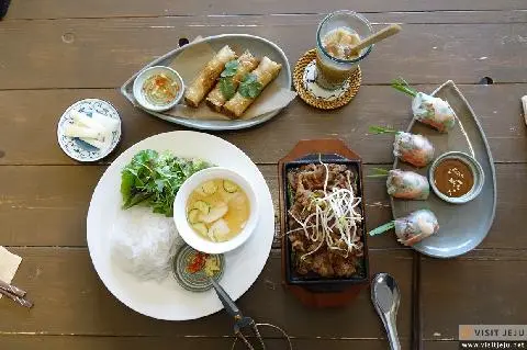 몬스테라 자구리 사진