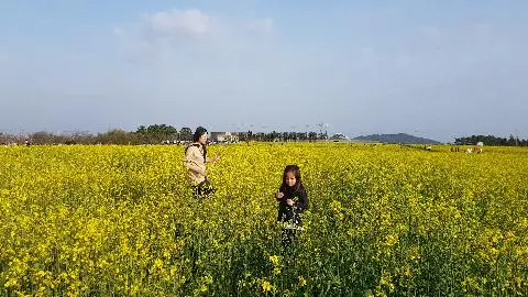 꽃길 따라 피어나는 제주여행 <제주의 봄은 늘 향기롭다>