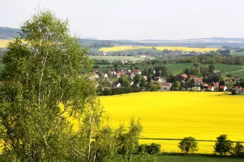 꽃길 따라 피어나는 제주여행 <제주의 봄은 늘 향기롭다>