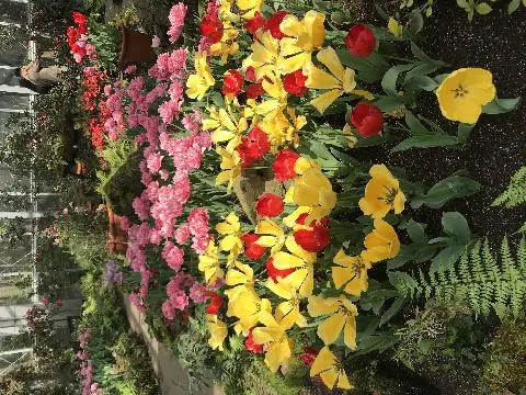 꽃길 따라 피어나는 제주여행 <제주의 봄은 늘 향기롭다>