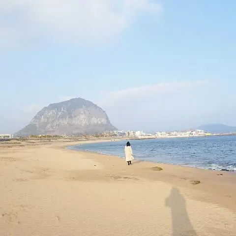 꽃길 따라 피어나는 제주여행 <제주의 봄은 늘 향기롭다>