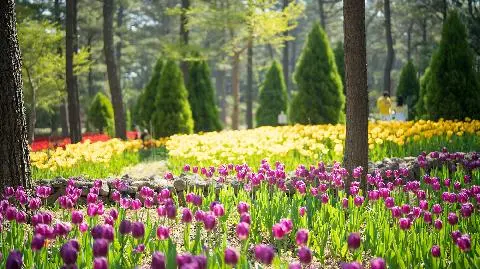 4月済州観光10選 <済州の春、青春はゆっくりと歩いていく> 대표이미지