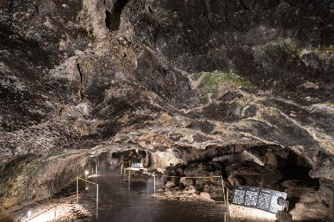 Ssangyonggul Cave (Hallim Park) 대표이미지