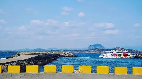 꽃길 따라 피어나는 제주여행 <제주의 봄은 늘 향기롭다>