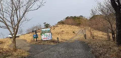 꽃길 따라 피어나는 제주여행 <제주의 봄은 늘 향기롭다>