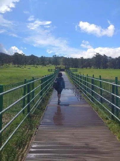 꽃길 따라 피어나는 제주여행 <제주의 봄은 늘 향기롭다>