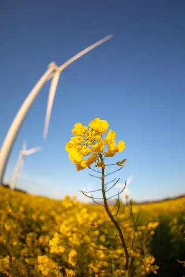 꽃길 따라 피어나는 제주여행 <제주의 봄은 늘 향기롭다>