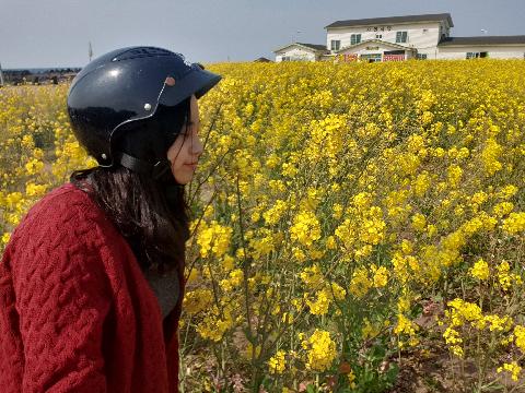 꽃길 따라 피어나는 제주여행 <제주의 봄은 늘 향기롭다>