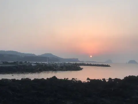 꽃길 따라 피어나는 제주여행 <제주의 봄은 늘 향기롭다>