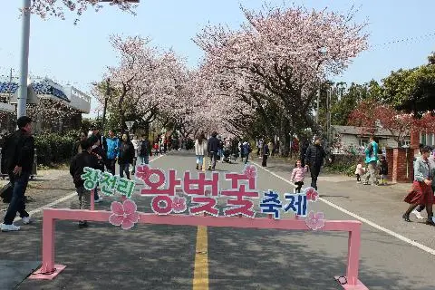 꽃길 따라 피어나는 제주여행 <제주의 봄은 늘 향기롭다>