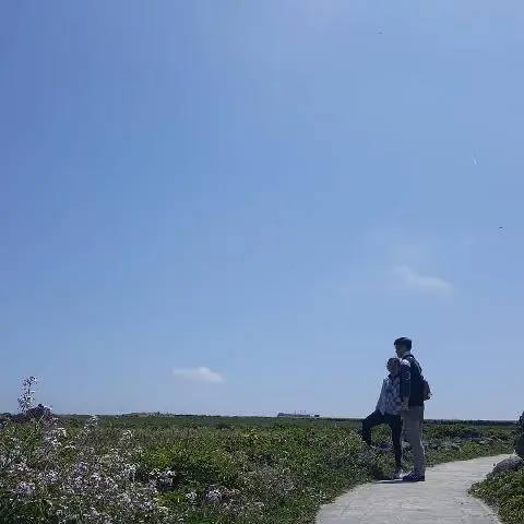 꽃길 따라 피어나는 제주여행 <제주의 봄은 늘 향기롭다>