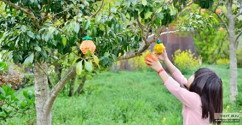 Jeju in May: Fantastic fun for children and parents 대표이미지