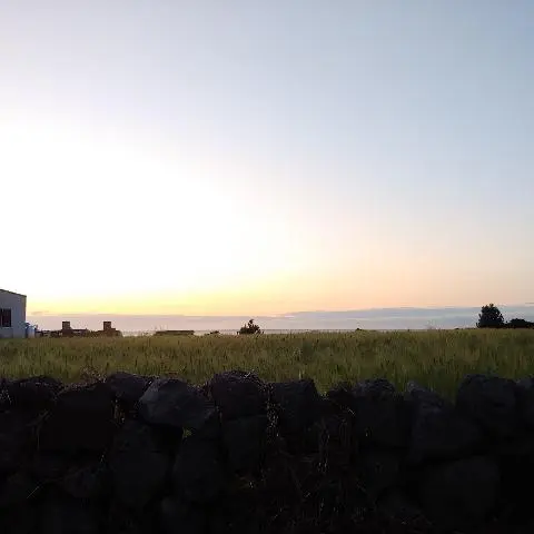 꽃길 따라 피어나는 제주여행 <제주의 봄은 늘 향기롭다>