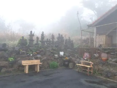 나미송 머무는 곳