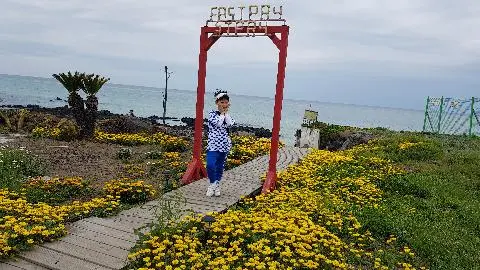 꽃길 따라 피어나는 제주여행 <제주의 봄은 늘 향기롭다>