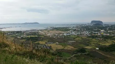 꽃길 따라 피어나는 제주여행 <제주의 봄은 늘 향기롭다>