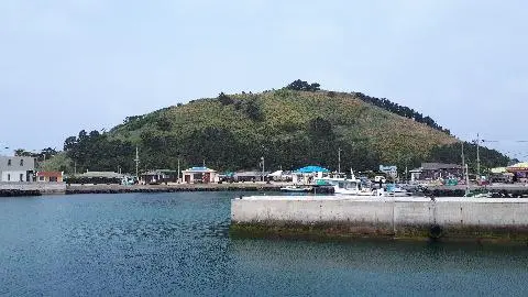 꽃길 따라 피어나는 제주여행 <제주의 봄은 늘 향기롭다>