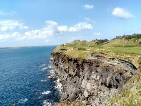 꽃길 따라 피어나는 제주여행 <제주의 봄은 늘 향기롭다>