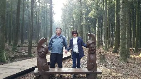 너무 춥지도 덥지도 않은 선선한 좋은 날씨에 제주도에서 남편과 둘이 여행다녀왔어요.  시원한 바람과 함께 해안도로를 달리고 누구나 가는 성산일출봉가서 정상찍고 대나무들이 가득한 절물자연휴양림에서 맑은 공기 마시면서 휴식을 취했네요.