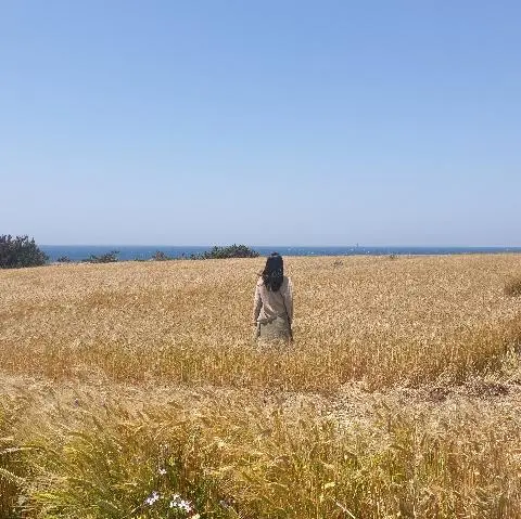 꽃길 따라 피어나는 제주여행 <제주의 봄은 늘 향기롭다>