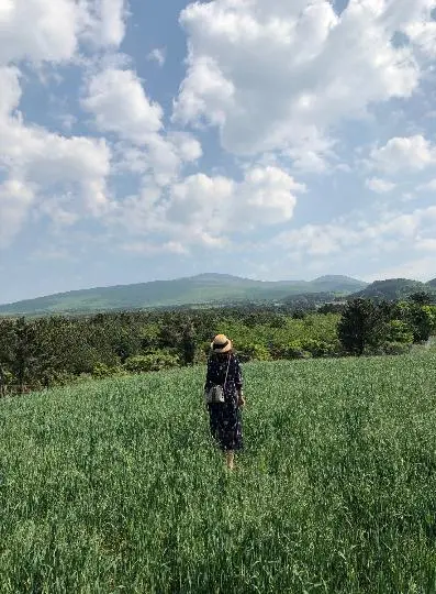 꽃길 따라 피어나는 제주여행 <제주의 봄은 늘 향기롭다>