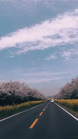 꽃길 따라 피어나는 제주여행 <제주의 봄은 늘 향기롭다>