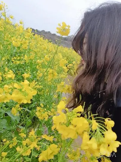 꽃길 따라 피어나는 제주여행 <제주의 봄은 늘 향기롭다>