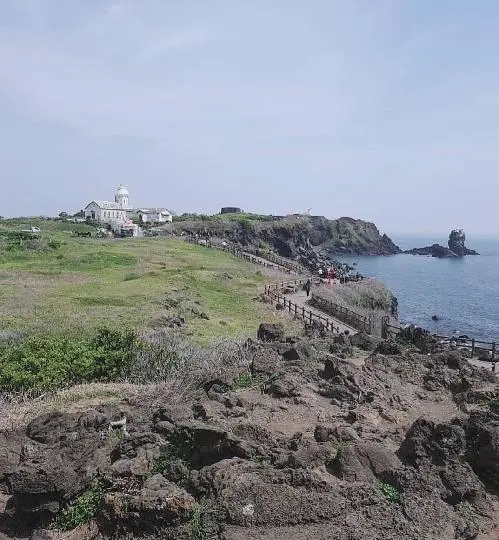 꽃길 따라 피어나는 제주여행 <제주의 봄은 늘 향기롭다>