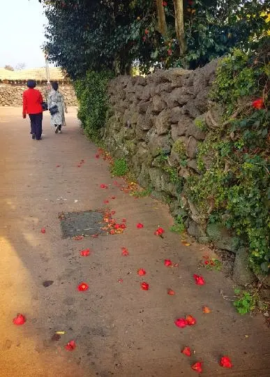 미등록 리뷰사진3