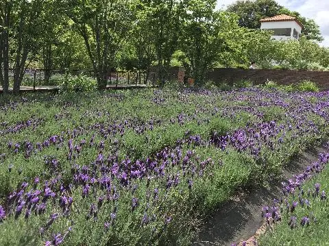 에코랜드 테마파크