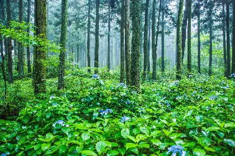 2019년 6월 놓치지 말아야 할 제주 관광 10선 <남다르게 실속 있게, 요망진 6월 제주> 대표이미지