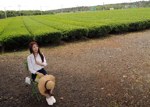 봄에 제주도 오설록뮤지엄에서 녹차밭을 배경으로
사진을 찍었다~~^^ 