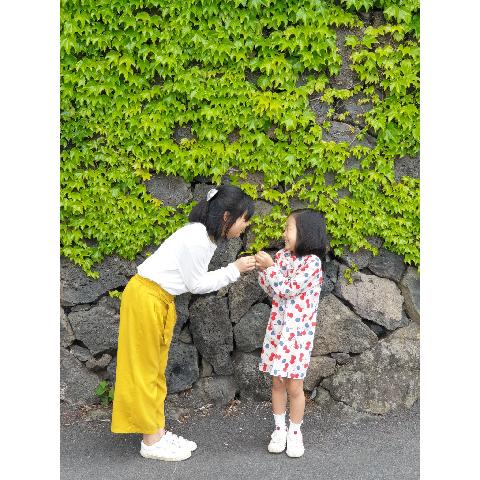 다육이풍경 리뷰사진5