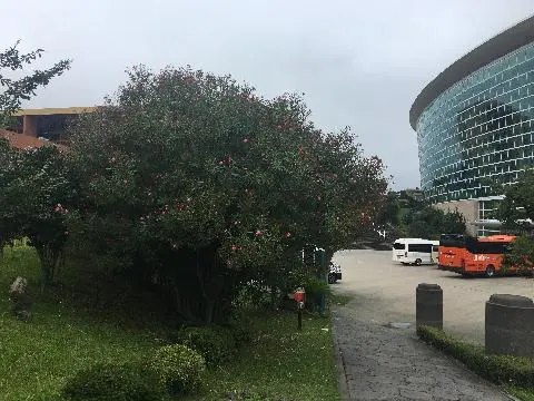 제주관광공사 중문면세점 (내국인)