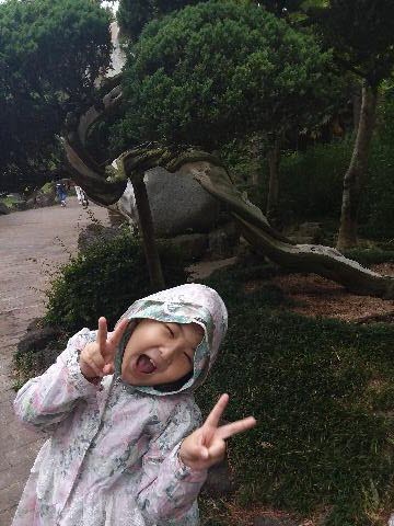 한림공원 부겐빌레아축제 리뷰사진3