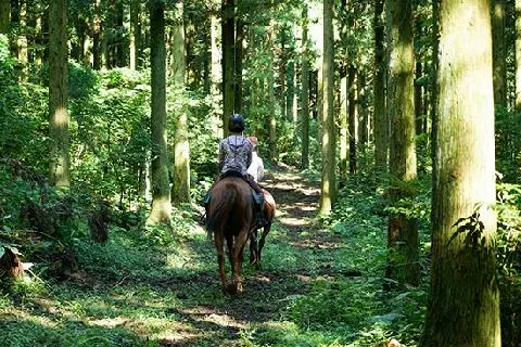 옷귀마테마타운