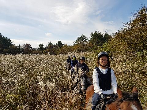 옷귀마테마타운 리뷰사진3