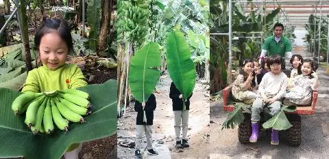 스위트몽키 대표이미지