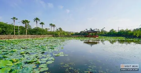 Top 10 Jeju Sites for July <Things to fully enjoy, photograph, ride, and taste in Jeju in July>