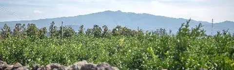 로컬투어 마을참견 3 <인재 많은 마을에 이야기도 많아라 김범진 삼촌의 거로 마을> 대표이미지