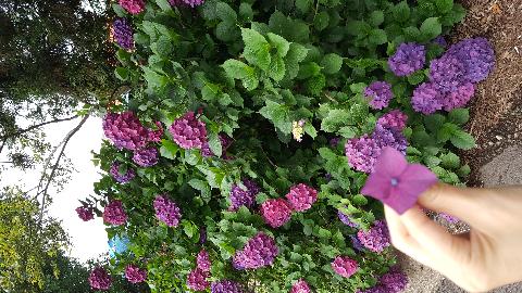 제주해나루 리뷰사진3