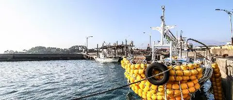 보목포구 사진