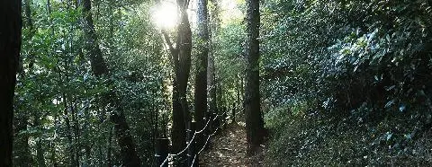 Jeoji Oreum (Dakmol Oreum, Sae Oreum) 대표이미지