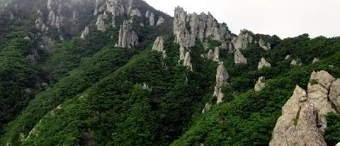 성널오름 (성판악) 사진